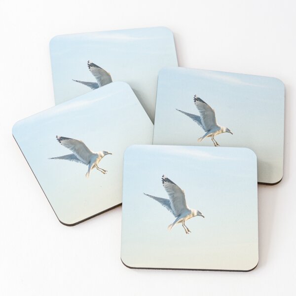 Item preview, Hovering California gull designed and sold by KensLensDesigns.