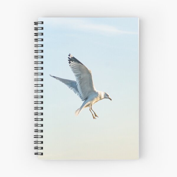 Item preview, Hovering California gull designed and sold by KensLensDesigns.