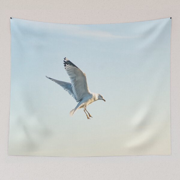 Item preview, Hovering California gull designed and sold by KensLensDesigns.