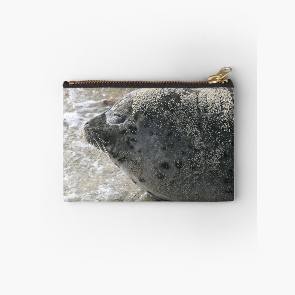 Item preview, Sunbathing seal designed and sold by janephotography.