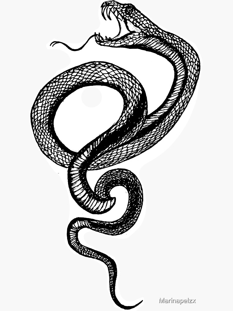 "Snake sticker" Sticker for Sale by Marinapelzx Redbubble