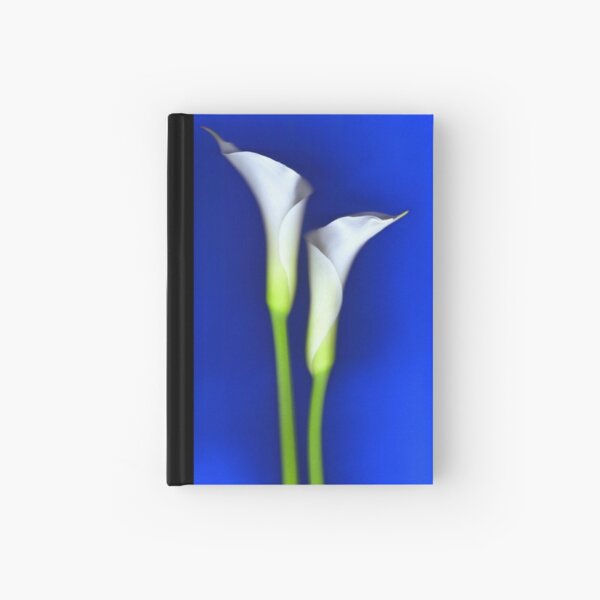 January 2010 Hardcover Journal