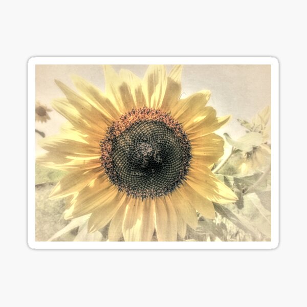 Nouveau design fait main pleine longueur Adulte Tablier-Coqs et tournesols