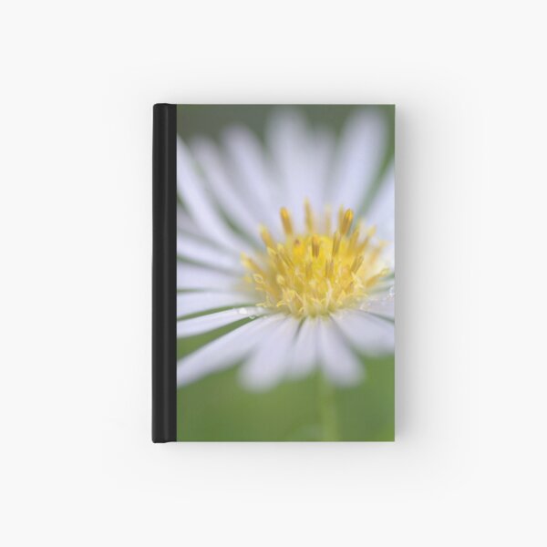Feelin Groovy Hardcover Journal