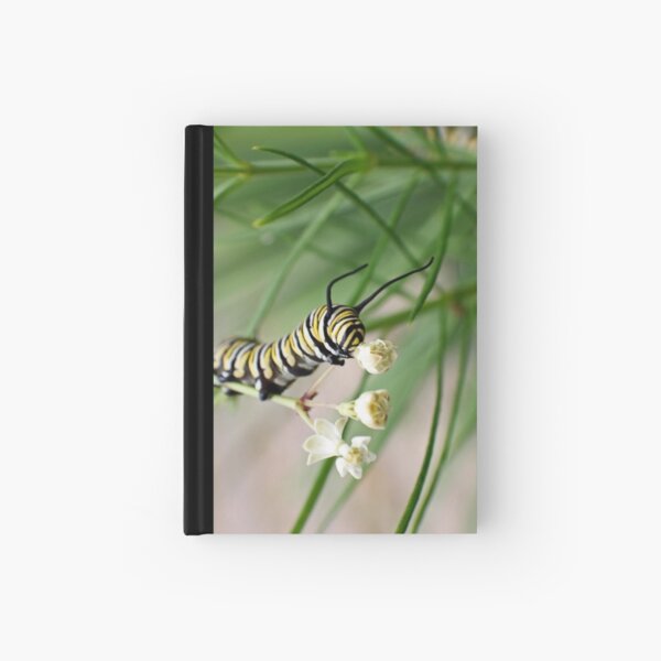 Monarch Caterpillar - 2 Hardcover Journal