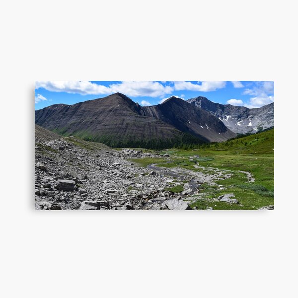 Item preview, Ptarmigan Cirque. designed and sold by CanadianWild418.