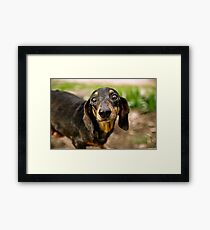 Zachary Framed Print