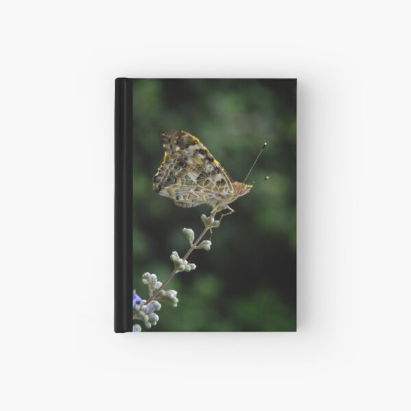 Perched Painted Lady Hardcover Journal