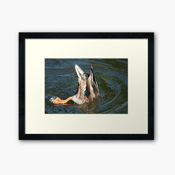 Bottoms Up! Framed Art Print