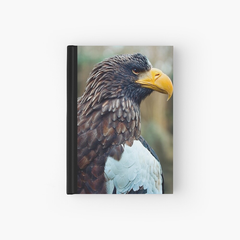 Steller's Sea Eagle Hardcover Journal