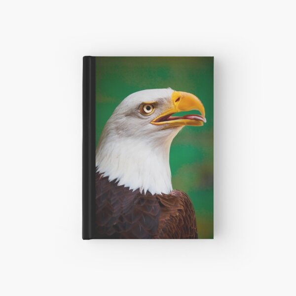 Bald Eagle Hardcover Journal