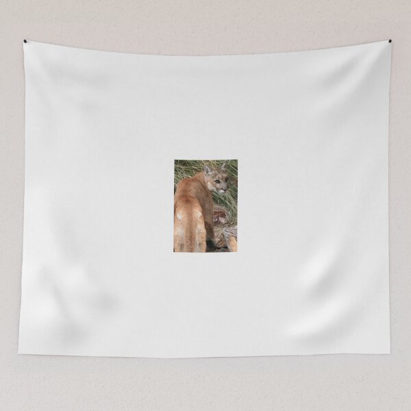 Item preview, Checking the back trail  designed and sold by RichImage.