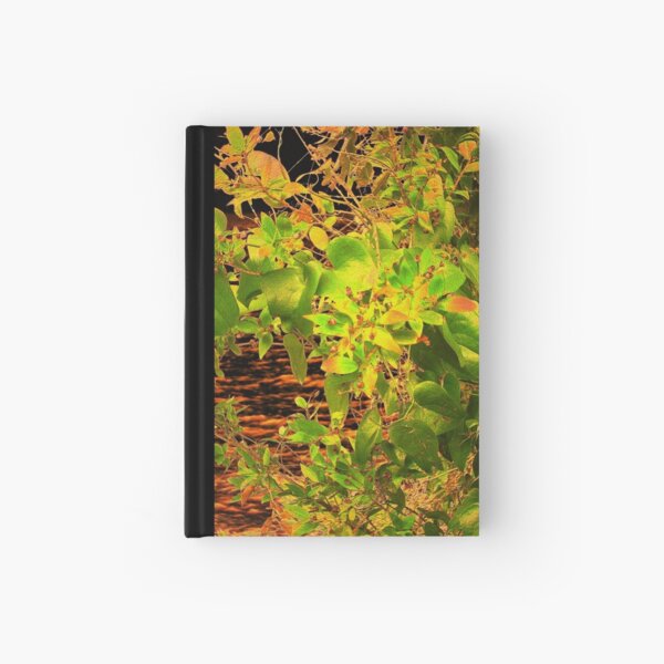 GLOW in the Bush Hardcover Journal