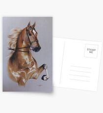 Saddlebred Postcards