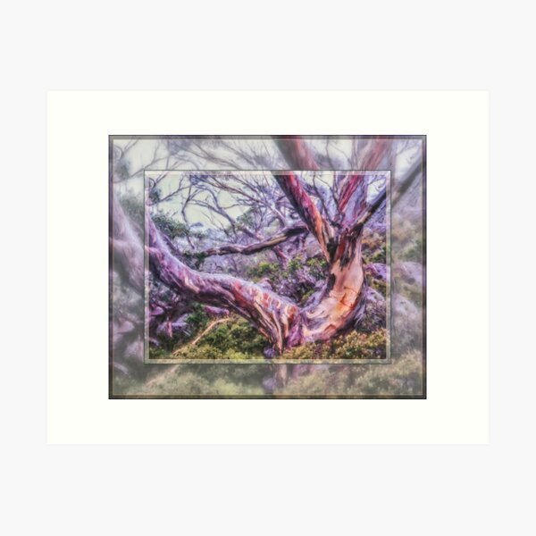 Item preview, Alpine Eucalypts-5 designed and sold by Matnev110.