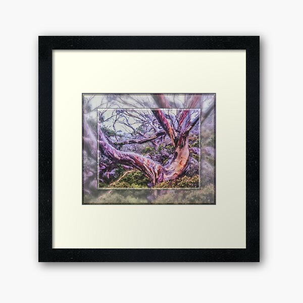 Item preview, Alpine Eucalypts-5 designed and sold by Matnev110.