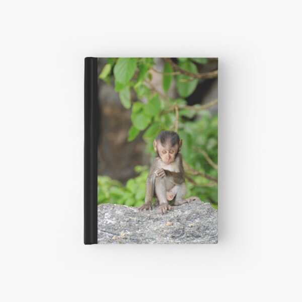Baby Monkey Hardcover Journal