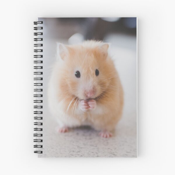 Item preview, Cute hamster eating on top of a table designed and sold by DelightfulArts.