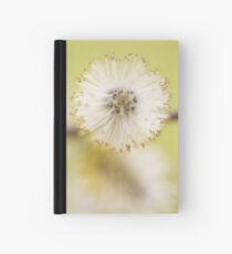 Pussy Willow Hardcover Journal