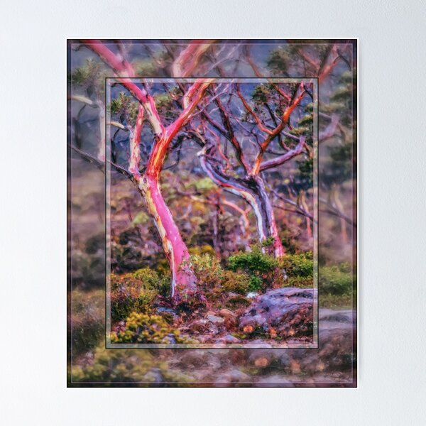 Item preview, Alpine Eucalypts-6 designed and sold by Matnev110.