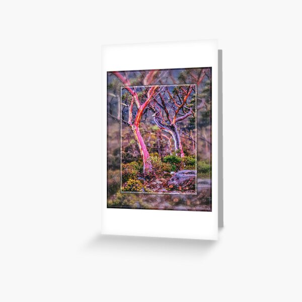 Item preview, Alpine Eucalypts-6 designed and sold by Matnev110.