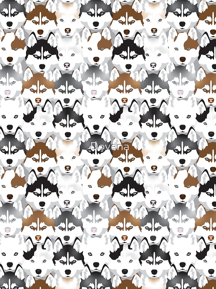 "Siberian Husky Pattern with many different shaded Husky head images