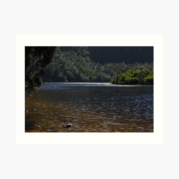 Dove Lake Art Print