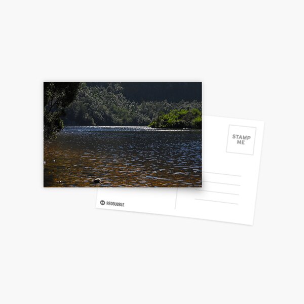 Dove Lake Postcard