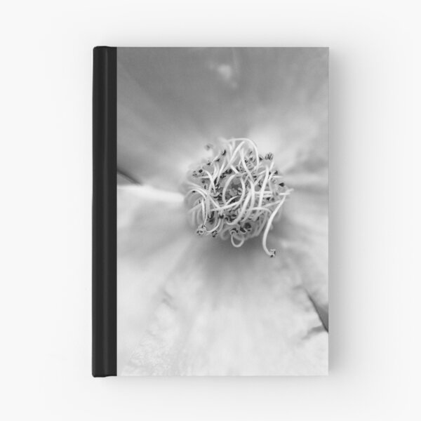 Item preview, after pollination designed and sold by Naia.
