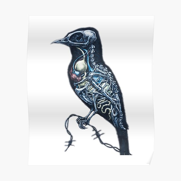 Bird Poster