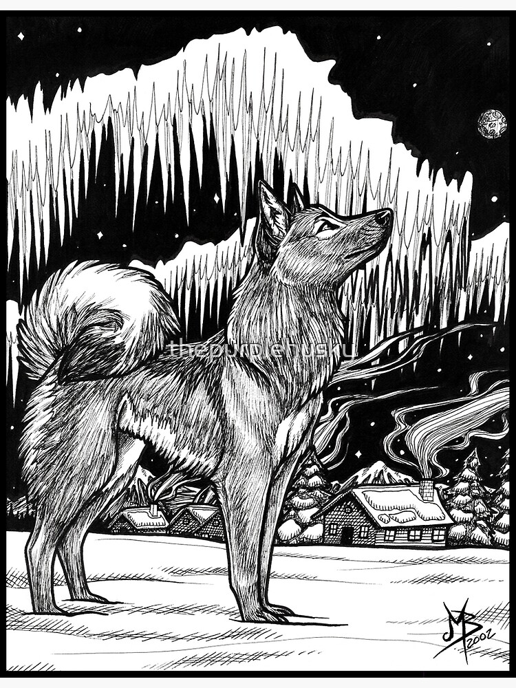 Northern Light - 2002 by thepurplehusky