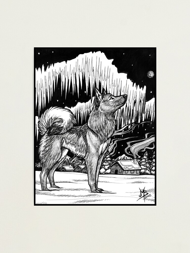 Alternate view of Northern Light - 2002 Photographic Print