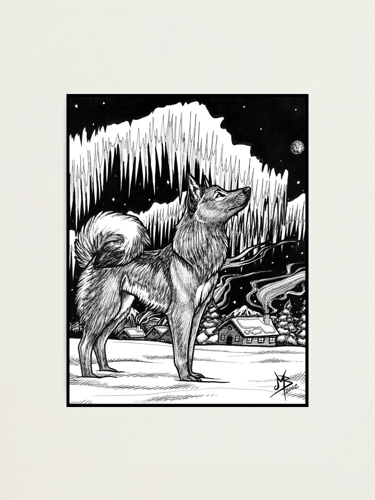 Alternate view of Northern Light - 2002 Photographic Print