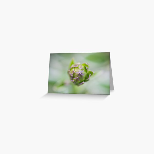 Growing Flower Greeting Card