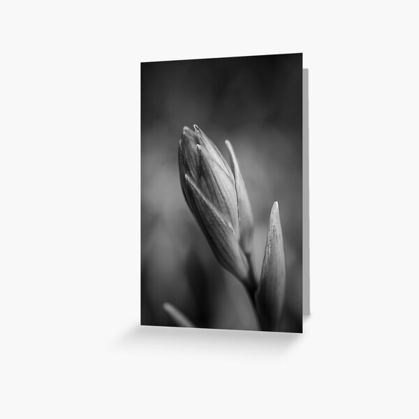 Black and White Flower Greeting Card