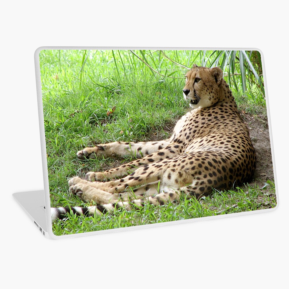 Item preview, Laptop Skin designed and sold by cybercat.