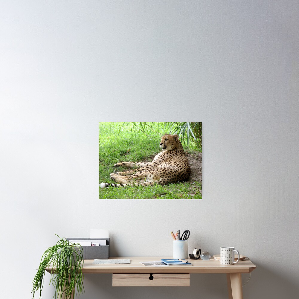 Item preview, Poster designed and sold by cybercat.