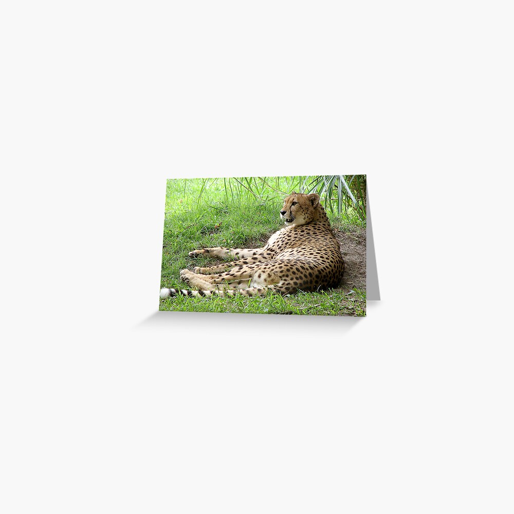 Item preview, Greeting Card designed and sold by cybercat.