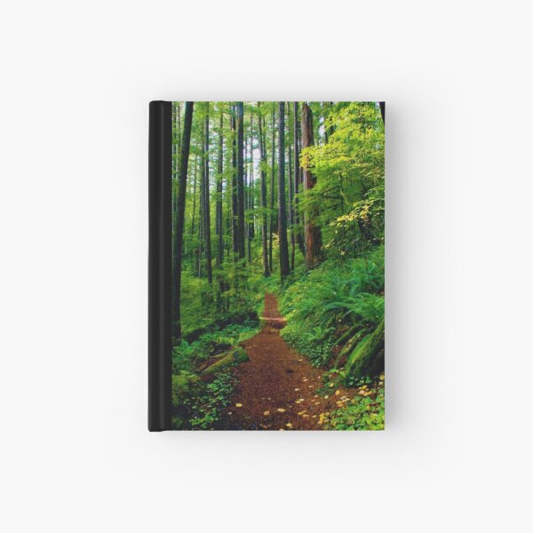 Kentucky Falls Trail #2 Hardcover Journal