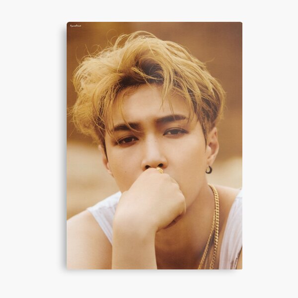 Exo Lay Metal Prints Redbubble