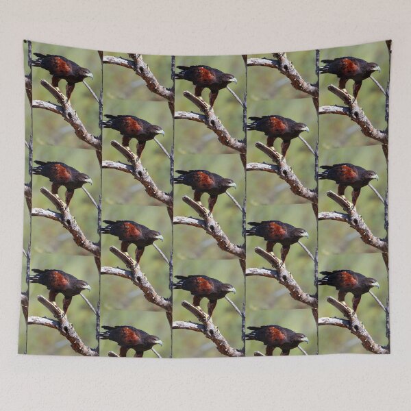 Item preview, Wings of Fire... designed and sold by RichImage.