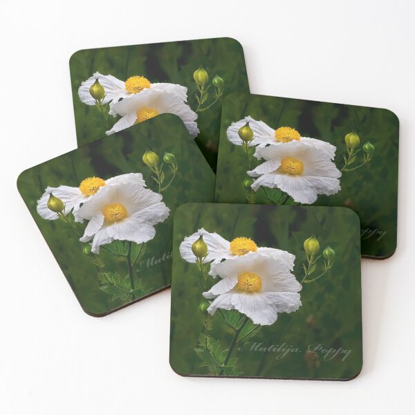 Item preview, Matilija poppies designed and sold by Art in Nature.