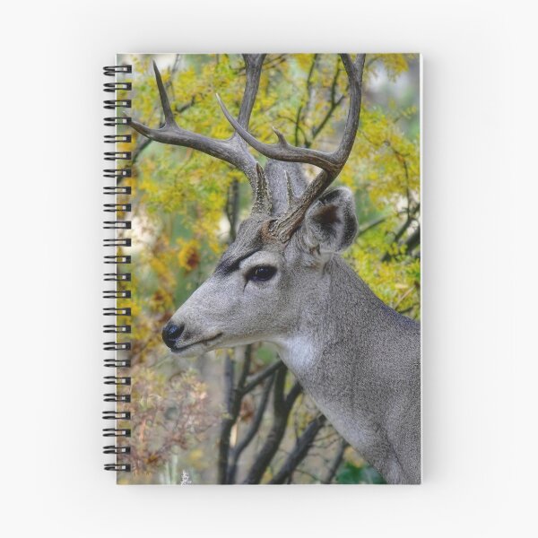 Item preview, Otoño buck designed and sold by Karen Peron.