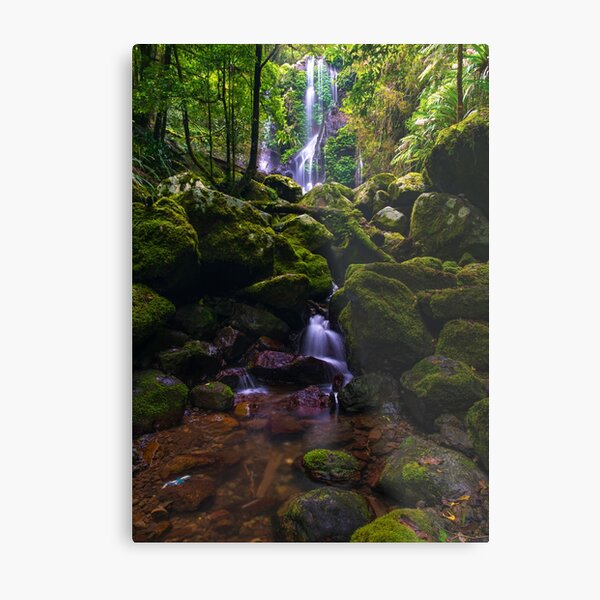 Item preview, Chalahn Falls Lamington National Park designed and sold by Adrian Alford Photography.