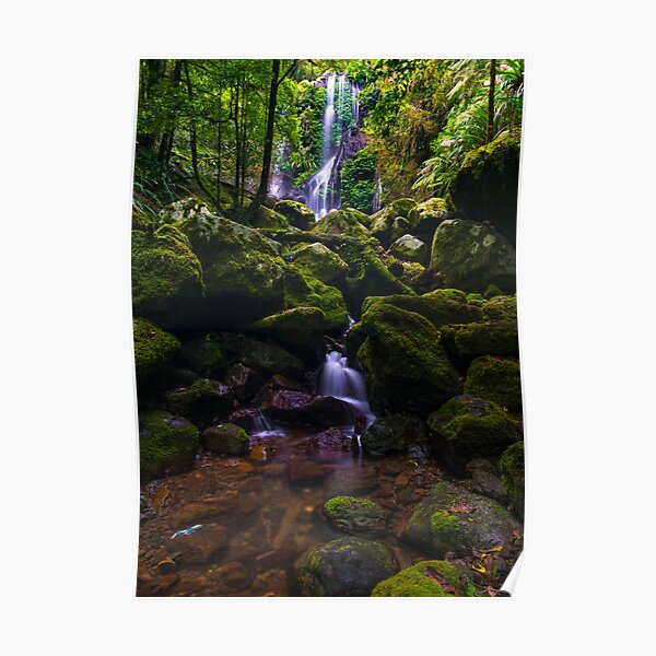 Chalahn Falls Lamington National Park Poster