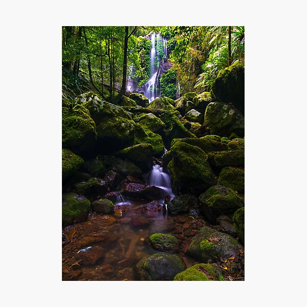 Item preview, Chalahn Falls Lamington National Park designed and sold by Adrian Alford Photography.