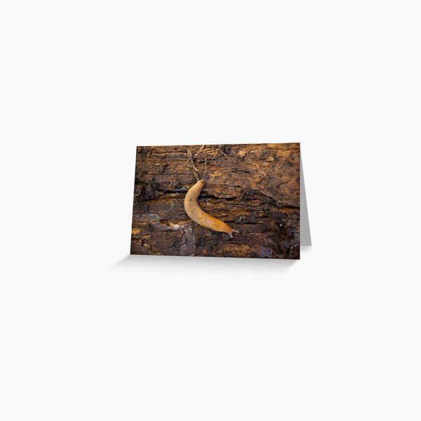 Slug Greeting Card
