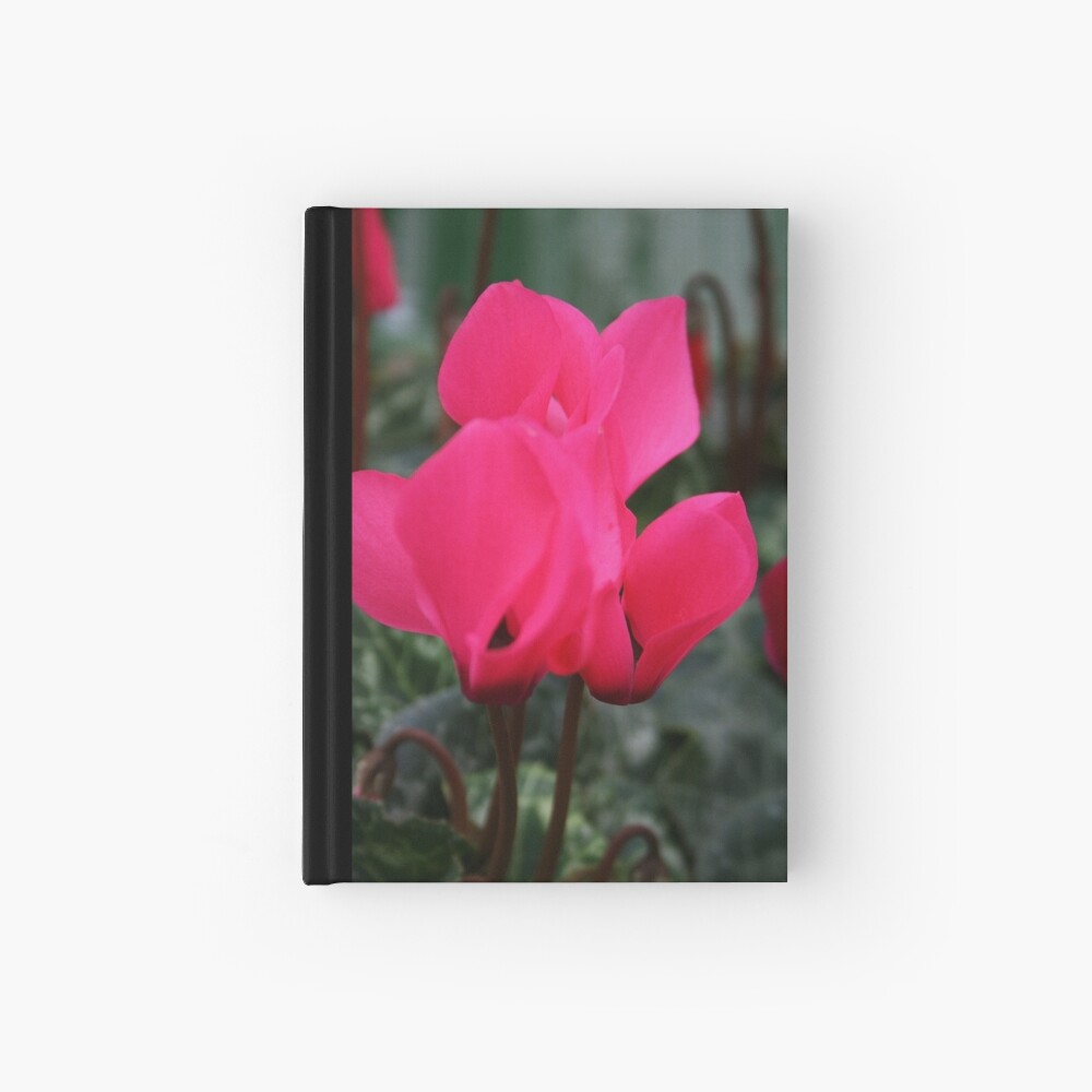 Cyclamen Hardcover Journal