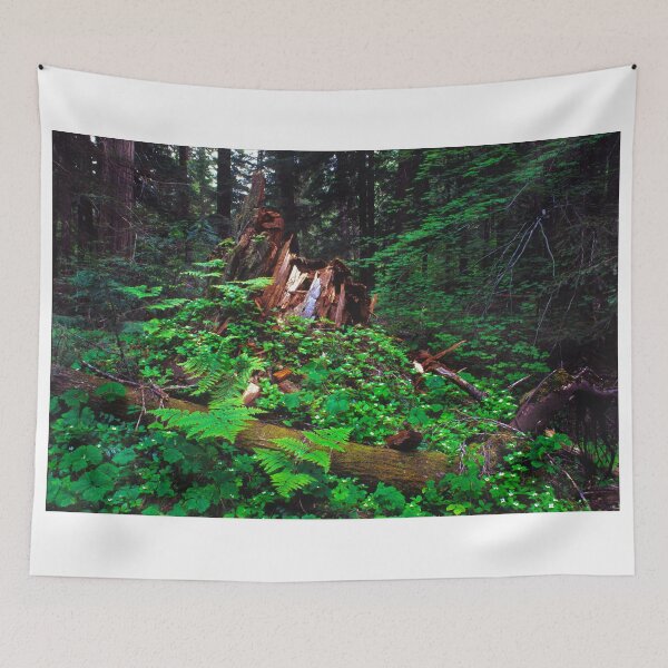 Item preview, Forest Eco System designed and sold by jklune.