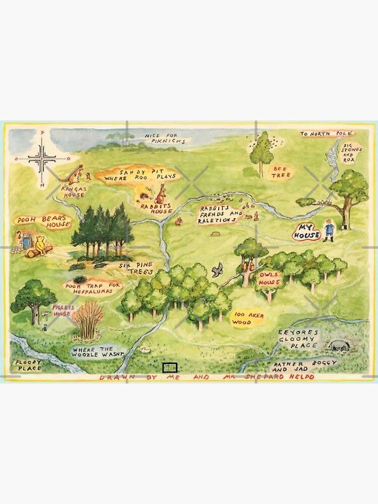 WINNIE-THE-POOH POSTCARD ~ POOH BEAR & THE DRAGONFLY IN ONE HUNDRED ACRE WOOD 